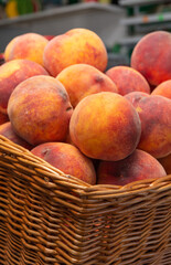 basket of peaches. Fresh rape peaches in the basket.