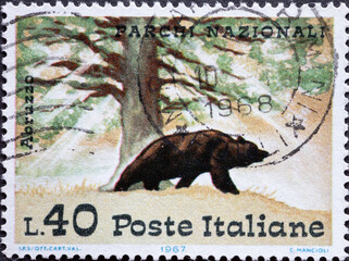 Italy - circa 1967: a postage stamp from Italy showing a Brown Bear (Ursus arctos) and Beech in the Park of Abruzzo