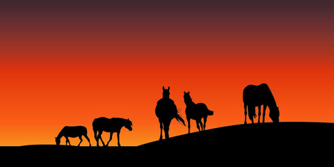 Herd of horses grazing on meadow in sunset vector illustration 