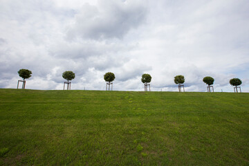 row of seven manicured Tilia trees in line on a green grass lawn hill of the Garden of Venus with a...