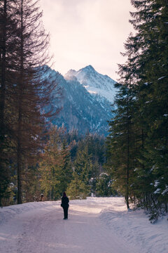 Unrecognizable person on snowy road against mountains