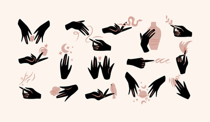 Vector illustration - female hands in in different gestures. Abstract symbol for cosmetics and packaging or beauty products.