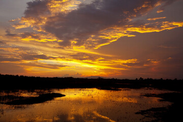 Flooded fields