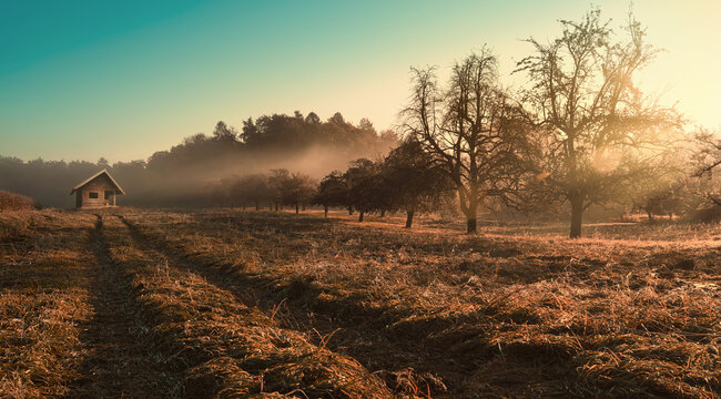 Moody rural landscape at sunrise, with the rays of light falling through the mist unto a brown field and tracks leading to a cabin