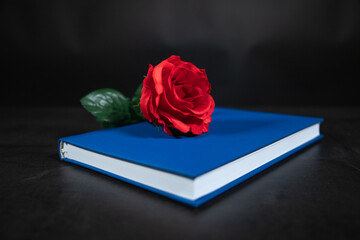 red rose on book
