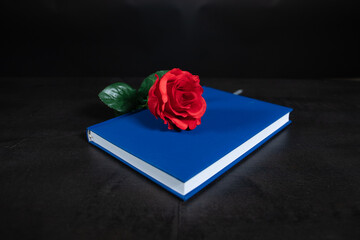 red rose on a book