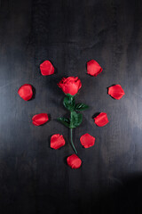 red rose and heart on wooden background