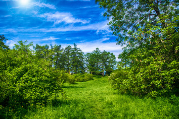 Fototapeta na wymiar landscape in green colors against a blue sky on a clear sunny day