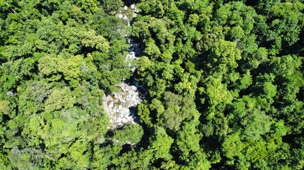 Aerial view down at the rainforest and river