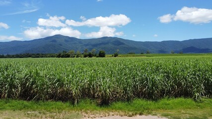 Obraz premium Beautiful Aerial shot of farming fields with mountain backdrop