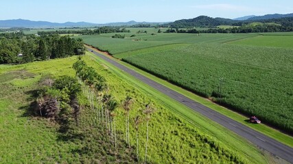Naklejka premium Scenic aerial view of Palm trees and a road