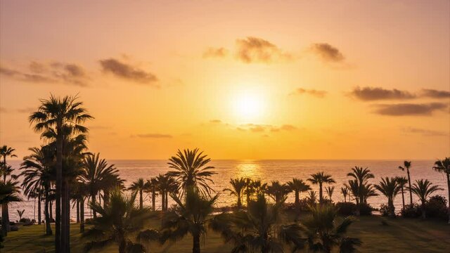 Day to night time lapse. Deep orange gorgeous tropical sunset. A view through beach palm trees to the sun setting down over horizon making bright path on the sea