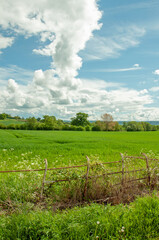 Fototapeta na wymiar Springtime fields and a craggy old fence.