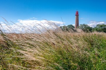 Feldrand mit Getreide und Mohnblumen und dem Leuchtturm von Flügge auf der Ostseeinsel Fehmarn im...