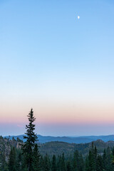 The moon rises at dusk in the Black Hills in South Dakota