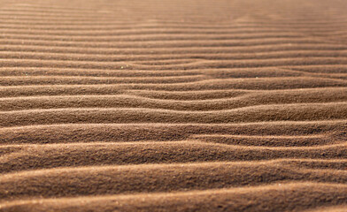 Close up sand dunes. Grains of sand sparkling in the rays of the sun on the shore