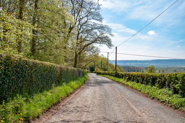 Fototapeta na wymiar Springtime countryside road in the UK.