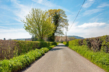 Springtime countryside road in the UK.