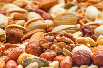 Background from different types of nuts and seeds - peeled walnut, hazelnuts, peeled peanut, pine nut kernels, almond seeds, cashew seeds, pistachio nuts in the shell, pumpkin seeds