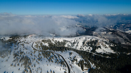 Fresh snow fall on the trees and forests of the Kopaonik Mountain, Serbia