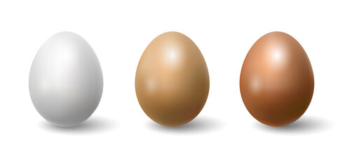 Three realistic eggs. Design element. Vector illustration
