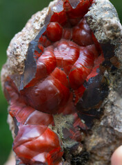red fox agate mineral specimen stone rock geology gem crystal