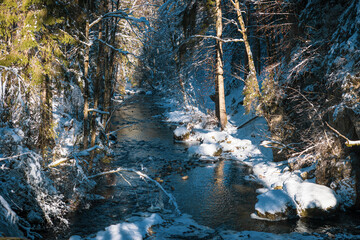 Blick auf einen verschneiten Bach in einer winterlichen Landschaft im Allgäu