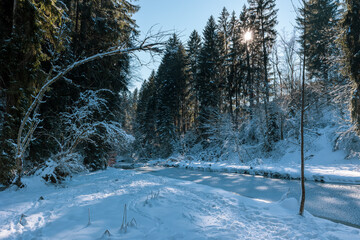 Winterwald mit einem gefrorenem Bach im Allgäu. Durch die verschneiten Bäume scheint die Sonne. - obrazy, fototapety, plakaty