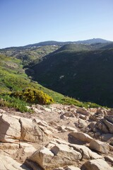 path to the mountain