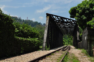 Rail Corridor Singapore