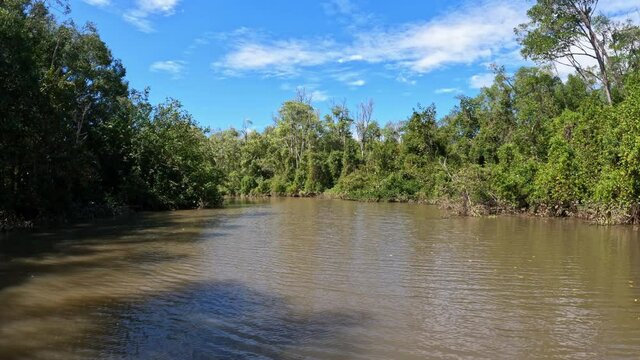 Boat moving through the Tempisque River with beautiful landscape of rainforest , POV view from boat. Costa Rica