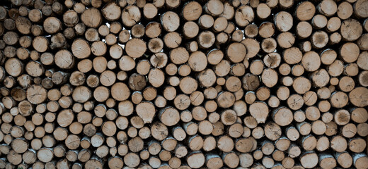 Stack of tree trunks. Texture background