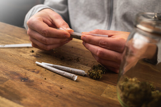 Man hands making a marijuana joint, rolling in a cigarette paper, a ground dried cannabis bud.
