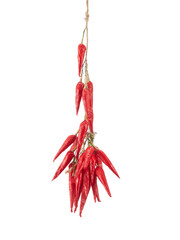 Dried chillies hanging on white background