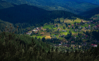 Fototapeta na wymiar Mountain panoramic landscape with trees and a village on a sunny summer day. Carpathians.