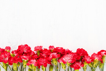 Red carnation flowers border on a light background. Mothers Day, Valentines Day, birthday concept