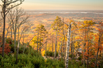Autumn view above the trees from Little Pinnacle at Pilot Mountain State Park in Pinnacle, NC.