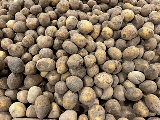 Fresh dirty potatoes on the counter of the store 