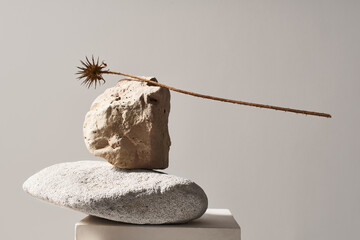 Different stones and dried flower on cube in studio