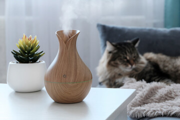 Plakat A wooden diffuser in the form of a lamp on a light table in a dark room. The concept of humidification of dry air and plants. A flower in a white pot, in the background a cat lies.