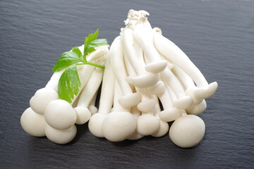 a cluster of white shimeji mushrooms - 481225034