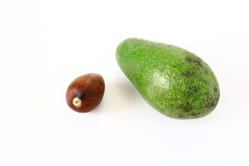 fresh avocado on a white background
