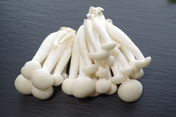 a cluster of white shimeji mushrooms - 481225202