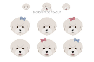 Bichon frise Teacup clipart. Different coat colors and poses set