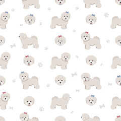 Obraz premium Bichon frise Teacup seamless pattern. Different coat colors and poses set