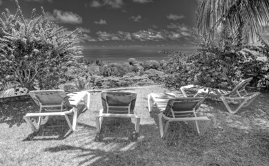 Four deckchairs with ocean view, located on a beautiful forest.