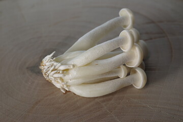 a cluster of white shimeji mushrooms - 481226027
