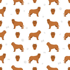 Neapolitan Mastiff, Mastino Neapolitano  seamless pattern. Different poses, coat colors set