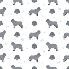 Neapolitan Mastiff, Mastino Neapolitano  seamless pattern. Different poses, coat colors set