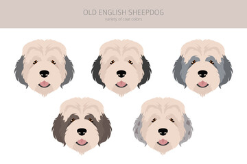 Old English sheepdog clipart. Different poses, coat colors set